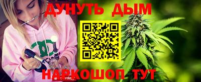 индика Краснознаменск